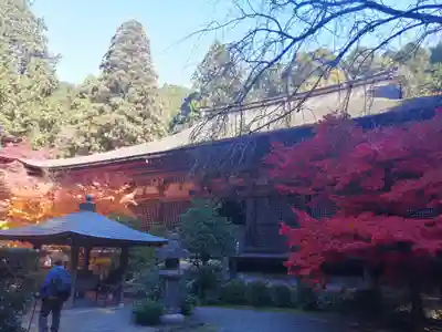 金剛輪寺の本殿・本堂