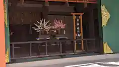 亀戸天神社(東京都)