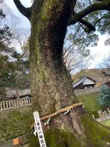 事任八幡宮(静岡県)