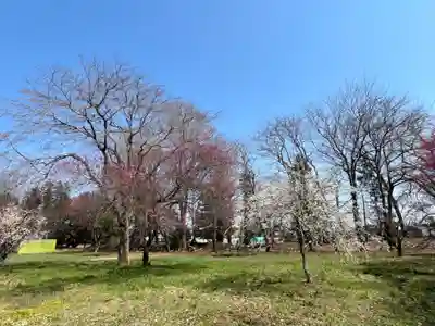 東持寺(茨城県)