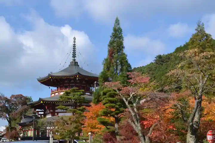 高野山金剛峯寺(和歌山県)
