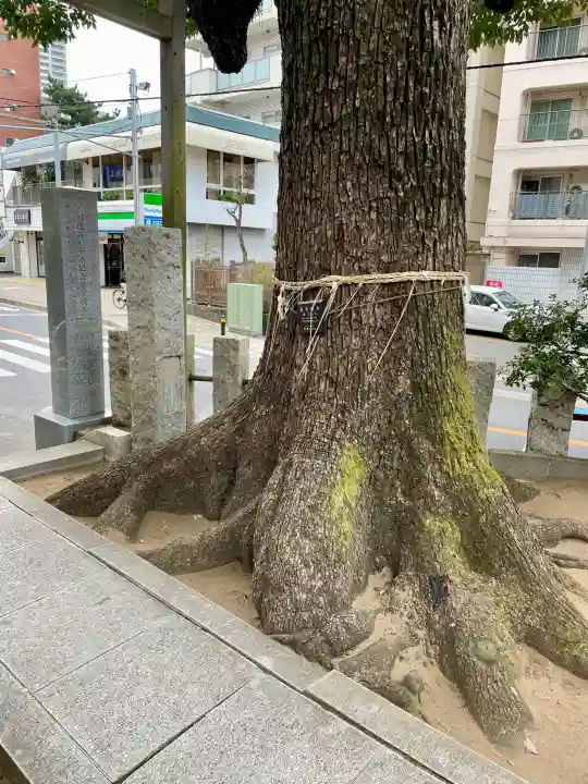 八幡神社の{uncategorized: "未分類", other: "その他", undefined: "問題あり", building: "その他建物", grave: "お墓", sacred_gate: "鳥居", guardian: "狛犬", statue: "像", buddha: "仏像", history: "歴史", nature: "自然", garden: "庭園", animal: "動物", pagoda: "塔", temizu: "手水舎", mountain_gate: "山門・神門", sanctuary: "本殿・本堂", subordinate: "末社・摂社", art: "芸術", scenery: "景色", jizo: "地蔵", ema: "絵馬", goshuin: "御朱印", omikuji: "おみくじ", items: "授与品その他", amulet: "お守り", goshuincho: "御朱印帳", eats: "食事", festival: "お祭り", votive_dance: "神楽", shichigosan: "七五三参", wedding: "結婚式", experience: "体験その他", initially: "初詣", around: "周辺", anti_infection: "感染症対策"}