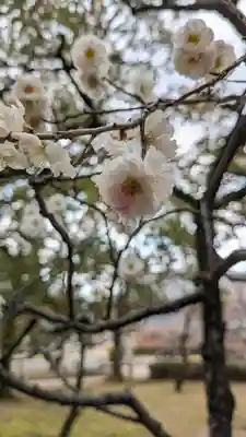  智積院(京都府)