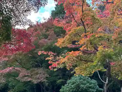 大原野神社(京都府)