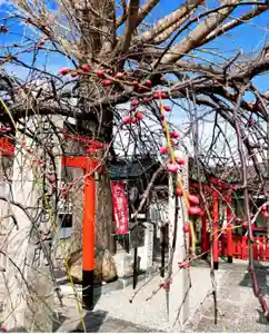 瀧宮神社(広島県)(2025年02月28日(金) 07時25分51秒投稿)