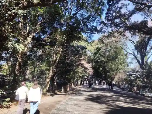 明治神宮(東京都)