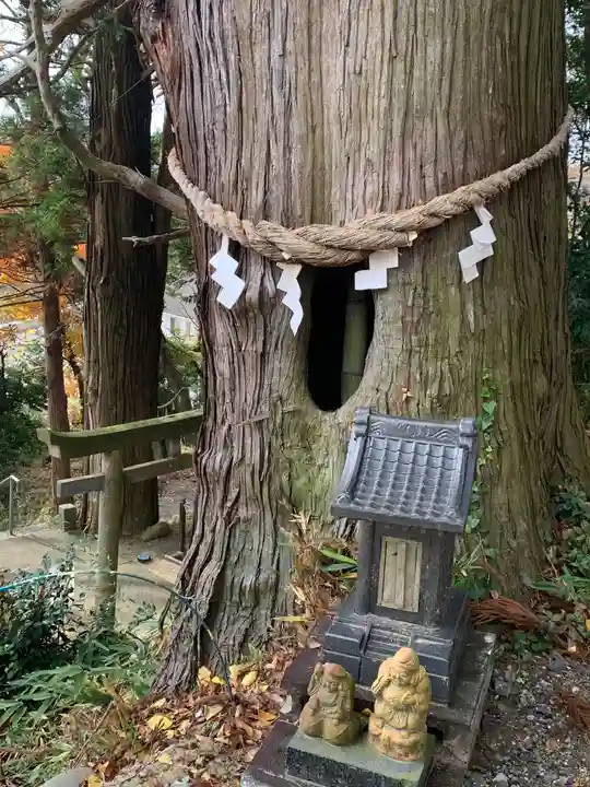 阿久津「田村神社」(郡山市阿久津町)旧社名:伊豆箱根三嶋三社(福島県)
