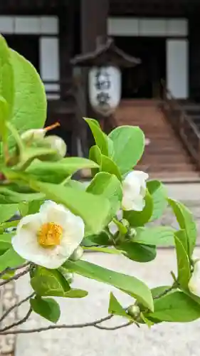 真正極楽寺（真如堂）(京都府)