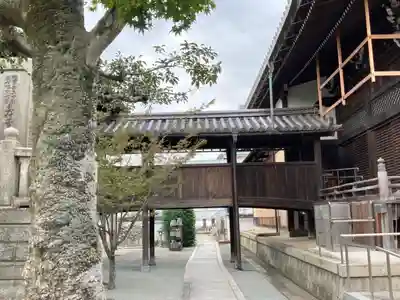 龍泉寺の本殿・本堂