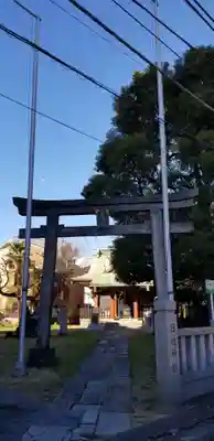 日枝神社の鳥居