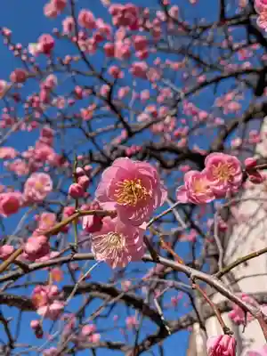 長円寺(東京都)