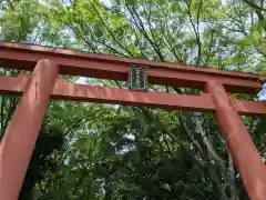 世田谷八幡宮の鳥居