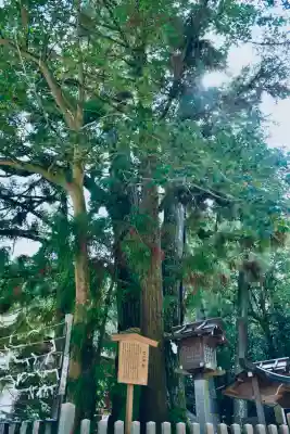 大神神社の{uncategorized: "未分類", other: "その他", undefined: "問題あり", building: "その他建物", grave: "お墓", sacred_gate: "鳥居", guardian: "狛犬", statue: "像", buddha: "仏像", history: "歴史", nature: "自然", garden: "庭園", animal: "動物", pagoda: "塔", temizu: "手水舎", mountain_gate: "山門・神門", sanctuary: "本殿・本堂", subordinate: "末社・摂社", art: "芸術", scenery: "景色", jizo: "地蔵", ema: "絵馬", goshuin: "御朱印", omikuji: "おみくじ", items: "授与品その他", amulet: "お守り", goshuincho: "御朱印帳", eats: "食事", festival: "お祭り", votive_dance: "神楽", shichigosan: "七五三参", wedding: "結婚式", experience: "体験その他", initially: "初詣", around: "周辺", anti_infection: "感染症対策"}