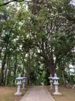 白幡神社の本殿・本堂