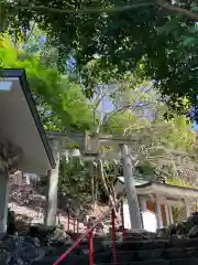 大山祇神社の鳥居