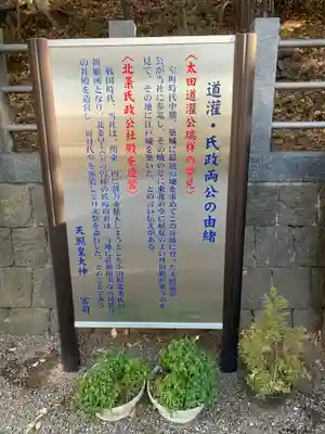 天照皇大神の歴史