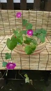 阿邪訶根神社の手水舎(2021年07月27日(火) 09時00分36秒投稿)