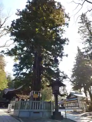 諏訪大社下社秋宮(長野県)