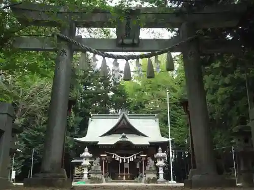 安房神社の鳥居