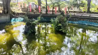 東石清水八幡神社(埼玉県)