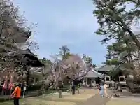 観音寺(世田谷山観音寺)(東京都)