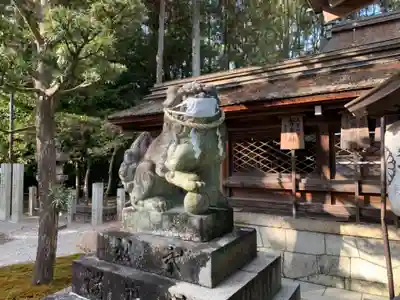 建部大社の狛犬