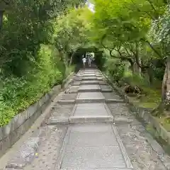 高台寺（高台寿聖禅寺・高臺寺）(京都府)