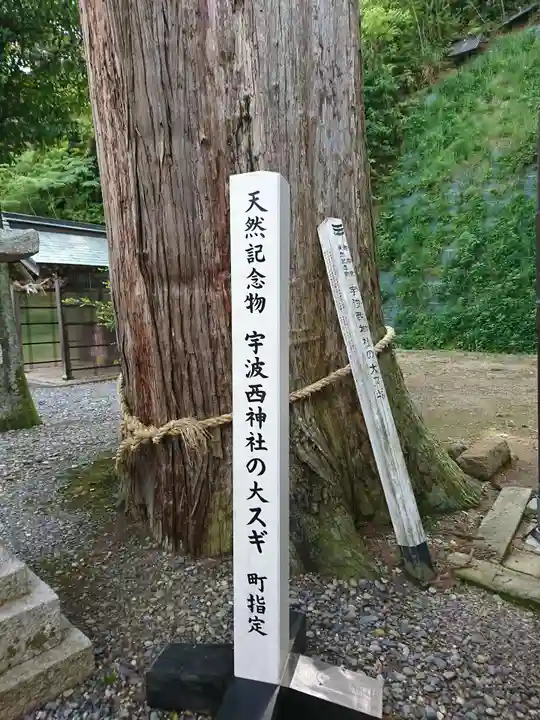 宇波西神社の自然