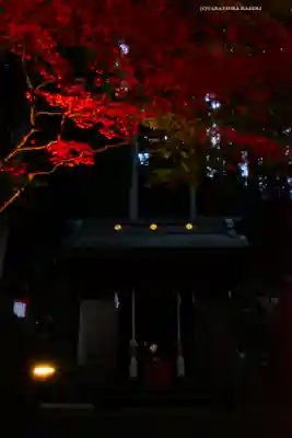 大山阿夫利神社(神奈川県)