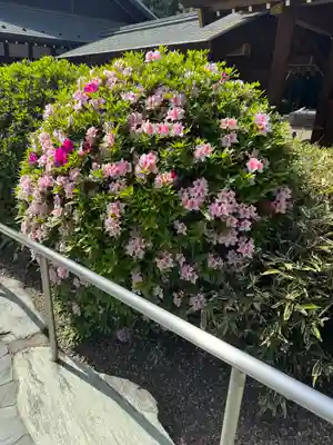 櫻木神社(千葉県)