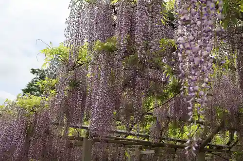 三大神社(滋賀県)