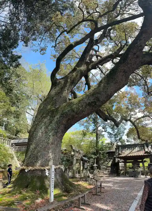 事任八幡宮(静岡県)