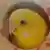 春納言さんのプロフィール画像