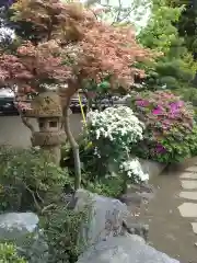 要法寺(神奈川県)