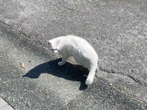 王子神社(徳島県)