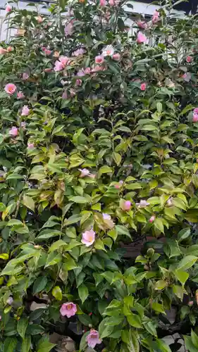 慈眼寺(京都府)