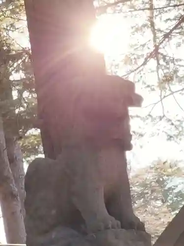 北海道神宮の狛犬