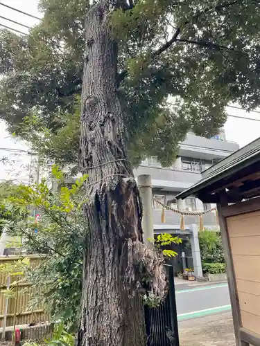 天沼八幡神社(東京都)