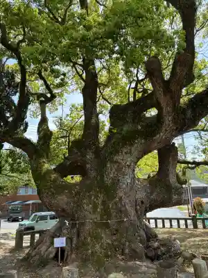 土肥神社(静岡県)