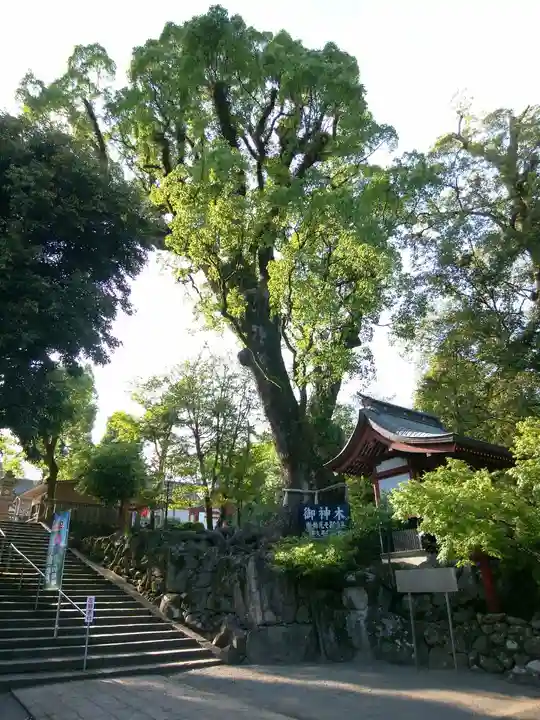鹿児島神宮(鹿児島県)