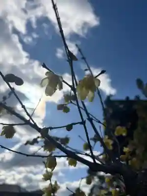 大歳神社(兵庫県)