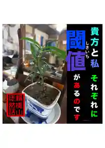 耕田院(山形県)(2023年12月26日(火) 11時04分23秒投稿)