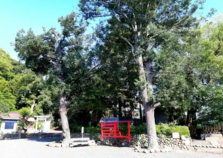 三熊野神社の自然