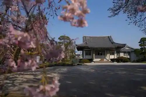 善福寺の本殿・本堂