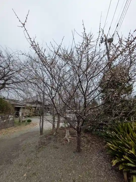 中瀬大神(神奈川県)