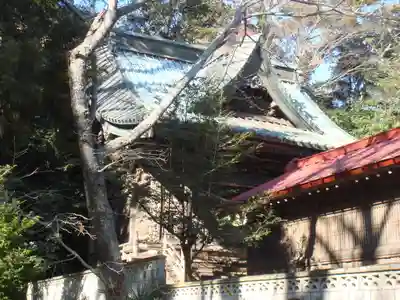 橘樹神社の本殿・本堂