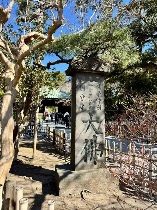 高徳院(神奈川県)