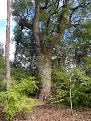 土佐神社(高知県)