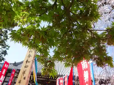 瑞雲寺の自然