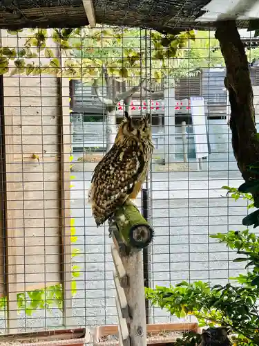 宮地嶽神社(福岡県)
